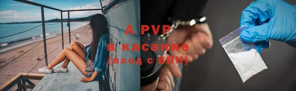 PSILOCYBIN Абинск