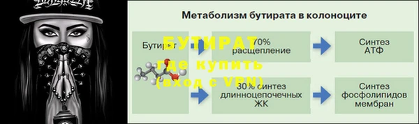 гашик Осташков