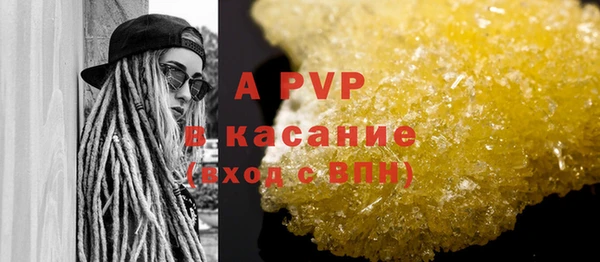 гашик Осташков