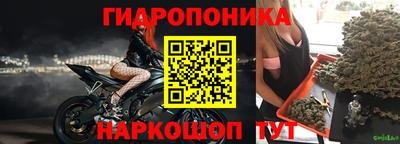 твердый Славгород
