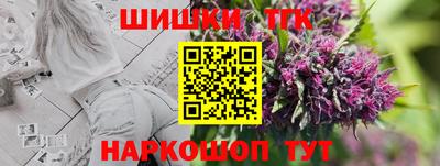трава Сланцы