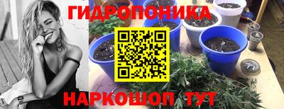 трава Сланцы
