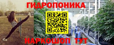 твердый Славгород