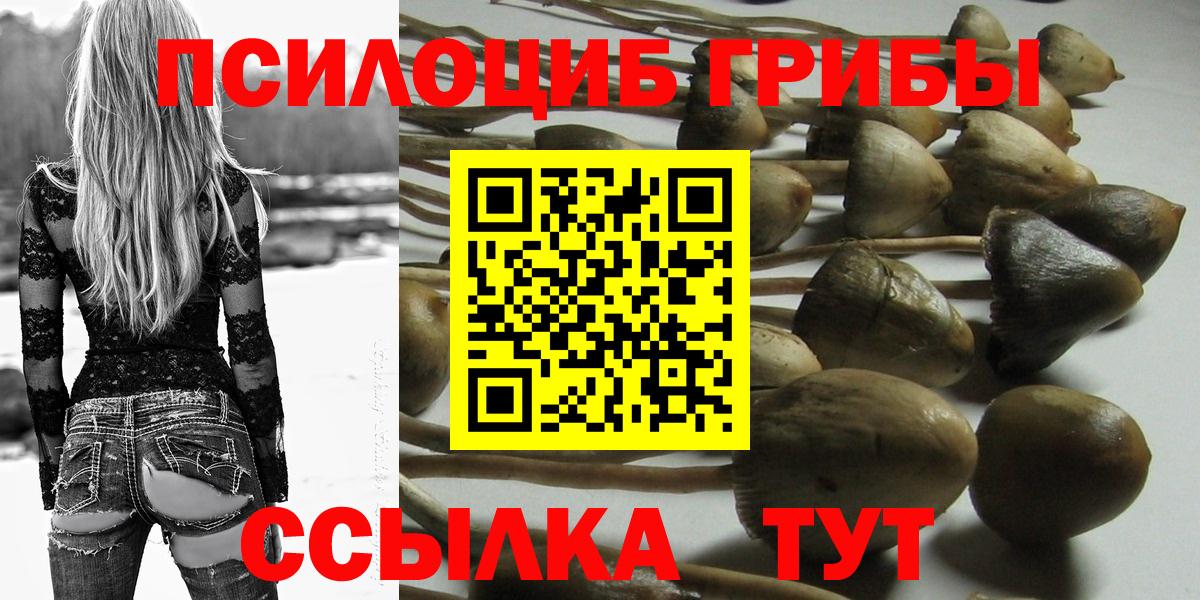 магазин продажи   Галлюциногенные грибы прущие грибы  Вход с VPN  Галлюциногенные грибы Psilocybe  Приморско-Ахтарск 