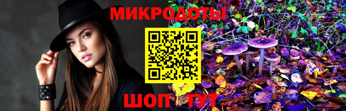 Псилоцибиновые грибы мухоморы Приморско-Ахтарск